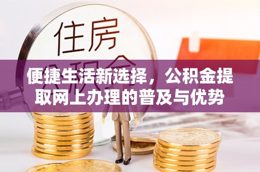 三水便捷生活新选择，公积金提取网上办理的普及与优势