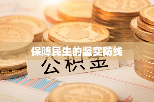 三水保障民生的坚实防线
