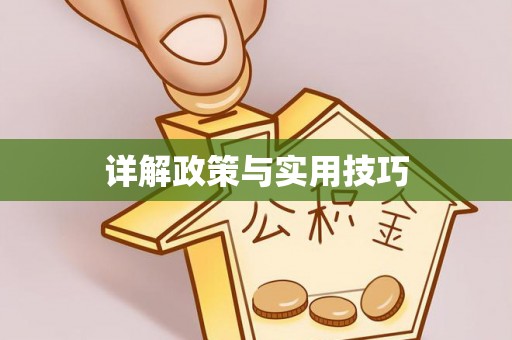 三水详解政策与实用技巧